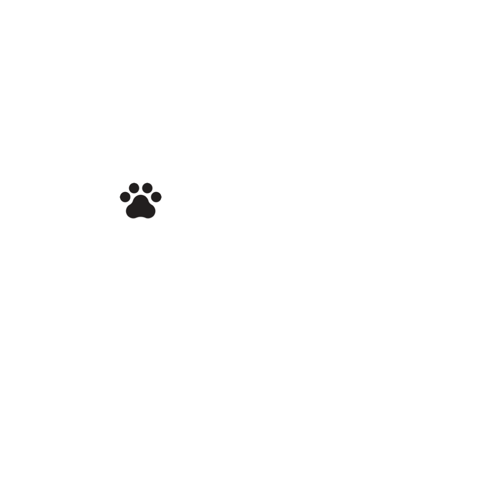dogtrex.com premium domain sales page image